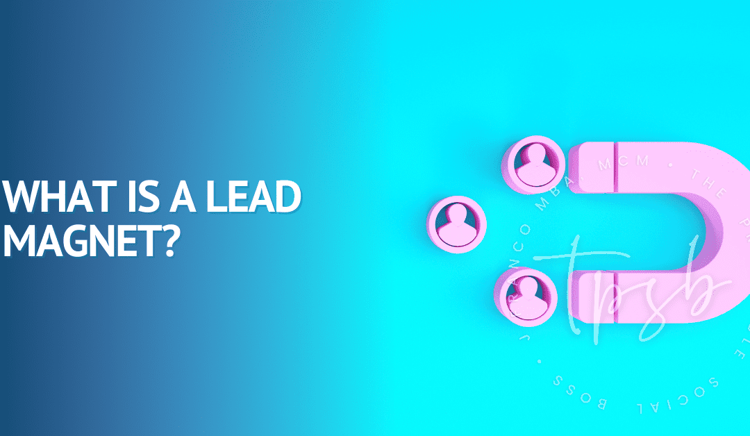 What Is A Lead Magnet? Ultimate Guide For Solopreneurs